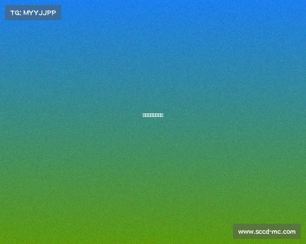 定向运动比赛规则